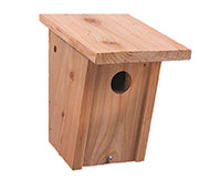 Bird House